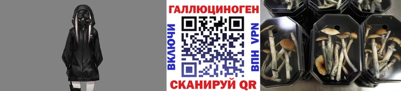 мега как зайти Бежецк Галлюциногенные грибы MAGIC MUSHROOMS что такое наркотик